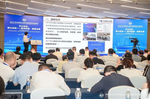 李立浧院士 中国正研发世界首套电力人工智能软件系统
